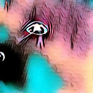 Meet your Posher, Javier